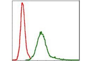 Flow cytometric analysis of Jurkat cells using BIRC5 mouse mAb (green) and negative control (red).