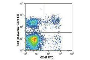 Flow Cytometry (FACS) image for anti-Integrin, alpha E (Antigen CD103, Human Mucosal Lymphocyte Antigen 1, alpha Polypeptide) (ITGAE) antibody (FITC) (ABIN2661457)
