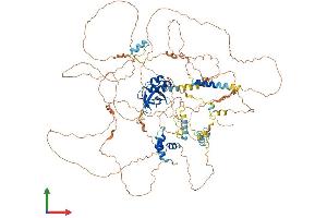 AlphaFold protein structure predicition of Mouse Recombinant Mis18bp1 Protein, UniprotID Q80WQ8