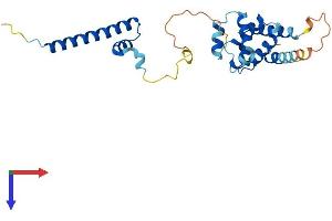 AlphaFold protein structure predicition of Human Recombinant CCDC103 Protein, UniprotID Q8IW40