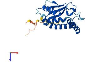 AlphaFold protein structure predicition of Human Recombinant TRAPPC3L Protein, UniprotID Q5T215