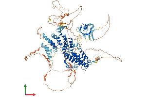 AlphaFold protein structure predicition of Human Recombinant RALGDS Protein, UniprotID Q12967
