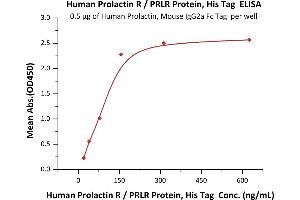 Prolactin Receptor (PRLR) (AA 25-234) (Active) protein (His tag)