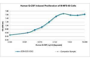 SDS-PAGE of Human Granulocyte Colony Stimulating Factor Recombinant Protein Bioactivity of Human Granulocyte Colony Stimulating Factor Recombinant Protein. (G-CSF Protéine)