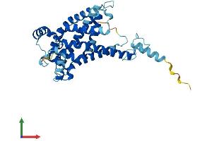 AlphaFold protein structure predicition of Human Recombinant SLC25A43 Protein, UniprotID Q8WUT9