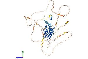 AlphaFold protein structure predicition of Mouse Recombinant Runx1 Protein, UniprotID Q03347