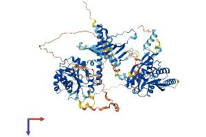 AlphaFold protein structure predicition of Mouse Recombinant Chsy3 Protein, UniprotID Q5DTK1