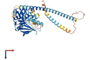 AlphaFold protein structure predicition of Mouse Recombinant Nek2 Protein, UniprotID O35942