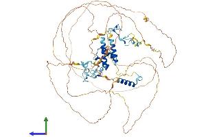 AlphaFold protein structure predicition of Human Recombinant ZC3H14 Protein, UniprotID Q6PJT7