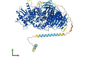 AlphaFold protein structure predicition of Mouse Recombinant Man2a1 Protein, UniprotID P27046