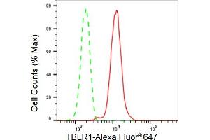 Flow cytometric analysis of TBLR1 expression in HepG2 cells using TBLR1 antibody (ABIN7800598), 1:2,000). (Recombinant TBL1XR1 anticorps)
