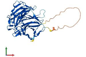 AlphaFold protein structure predicition of Human Recombinant RABEPK Protein, UniprotID Q7Z6M1