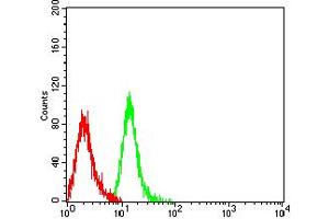 Flow cytometric analysis of Jurkat cells using TIM3 mouse mAb (green) and negative control (red).