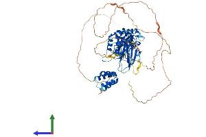 AlphaFold protein structure predicition of Human Recombinant PIAS2 Protein, UniprotID O75928