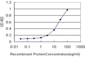 Detection limit for recombinant GST tagged CCL7 is approximately 1ng/ml as a capture antibody. (CCL7 anticorps  (AA 24-99))