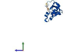 AlphaFold protein structure predicition of Human Recombinant SRXN1 Protein, UniprotID Q9BYN0