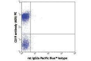 Flow Cytometry (FACS) image for Rat anti-Mouse IgD antibody (Pacific Blue) (ABIN2667176) (Rat anti-Souris IgD Anticorps (Pacific Blue))