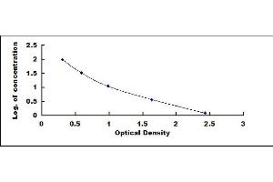 ELISA image for Follistatin (FST) ELISA Kit (ABIN431398)