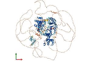 AlphaFold protein structure predicition of Human Recombinant BLM Protein, UniprotID P54132