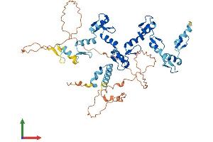 AlphaFold protein structure predicition of Human Recombinant ZNF776 Protein, UniprotID Q68DI1