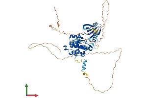 AlphaFold protein structure predicition of Human Recombinant STK33 Protein, UniprotID Q9BYT3
