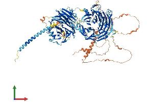 AlphaFold protein structure predicition of Human Recombinant STXBP5 Protein, UniprotID Q5T5C0
