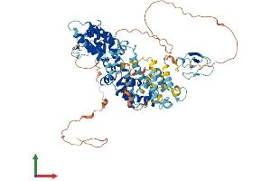 AlphaFold protein structure predicition of Human Recombinant RASGRP3 Protein, UniprotID Q8IV61