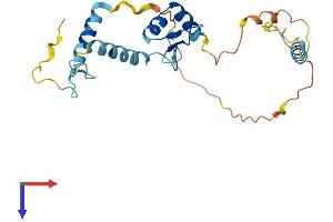 AlphaFold protein structure predicition of Human Recombinant SCNM1 Protein, UniprotID Q9BWG6