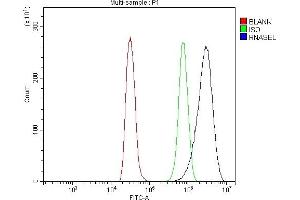 Flow Cytometry analysis of NRK cells using anti-RNase L/Rnasel antibody (ABIN7600857). (RNASEL anticorps  (AA 24-735))