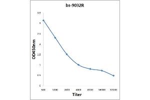Antigen: 2 µg/100 µL  Primary: Antiserum, 1:500, 1:1000, 1:2000, 1:4000, 1:8000, 1:16000, 1:32000;  Secondary: HRP conjugated Rabbit Anti-Goat IgG at 1: 5000;  TMB staining Read the data in Microplate Reader by 450nm.