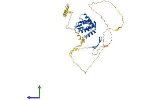 AlphaFold protein structure predicition of Human Recombinant ARID3C Protein, UniprotID A6NKF2