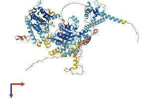 AlphaFold protein structure predicition of Mouse Recombinant Smarca1 Protein, UniprotID Q6PGB8