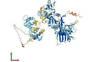 AlphaFold protein structure predicition of Mouse Recombinant Dgkb Protein, UniprotID Q6NS52