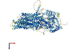 AlphaFold protein structure predicition of Mouse Recombinant Abcc2 Protein, UniprotID Q8VI47