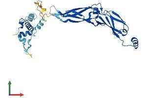 AlphaFold protein structure predicition of Mouse Recombinant Dnajb13 Protein, UniprotID Q80Y75