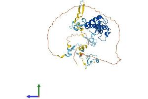 AlphaFold protein structure predicition of Mouse Recombinant Mkrn2 Protein, UniprotID Q9ERV1