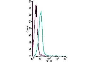 Cell surface detection of PACC1 by indirect flow cytometry in live intact human  monocytic leukemia cell line: + goat-anti-rabbit-FITC. (PACC1 (AA 95-110), (Extracellular) anticorps)