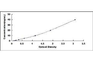 Typical standard curve (PNLIP Kit ELISA)