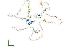 AlphaFold protein structure predicition of Human Recombinant VGLL2 Protein, UniprotID Q8N8G2