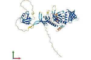 AlphaFold protein structure predicition of Mouse Recombinant Sntg2 Protein, UniprotID Q925E0