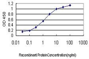 Detection limit for recombinant GST tagged POLR2I is approximately 0.