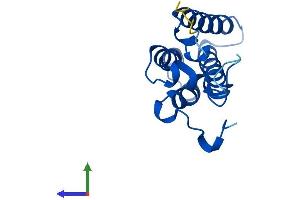 AlphaFold protein structure predicition of Mouse Recombinant Ormdl2 Protein, UniprotID Q9CQZ0