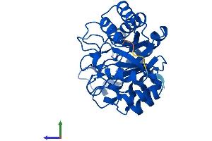 AlphaFold protein structure predicition of Mouse Recombinant Hyi Protein, UniprotID Q8R1F5