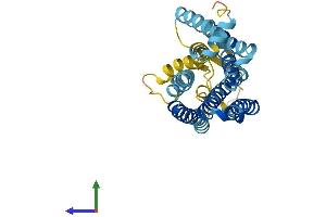 AlphaFold protein structure predicition of Human Recombinant OR2A4 Protein, UniprotID O95047