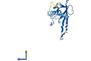 AlphaFold protein structure predicition of Human Recombinant MRPL23 Protein, UniprotID Q16540