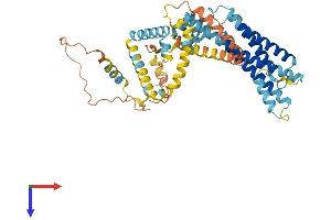 Perilipin 5 (PLIN5) (AA 1-463) protein (His tag)