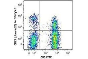 Flow Cytometry (FACS) image for anti-5'-Nucleotidase, Ecto (CD73) (NT5E) antibody (PerCP-Cy5.5) (ABIN2660154) (CD73 anticorps  (PerCP-Cy5.5))