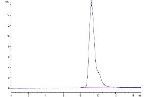 The purity of Cynomolgus PD-L2 is greater than 95 % as determined by SEC-HPLC.