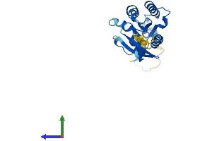 AlphaFold protein structure predicition of Human Recombinant RAB20 Protein, UniprotID Q9NX57
