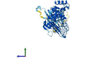 AlphaFold protein structure predicition of Human Recombinant LRR1 Protein, UniprotID Q96L50